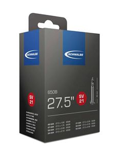 CÁMARA SCHWALBE SV21F EXTRA LIGERA