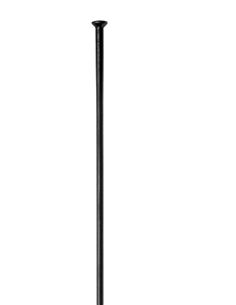 RADIOS DT SWISS 2.0X1.8X2.0X304MM STRAIGHTPULL