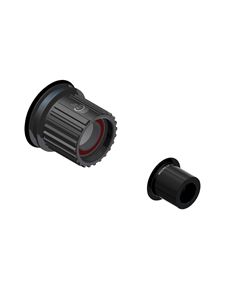 NUCLEO DTSWISS SHIMANO 12SP STEEL (SS12) RATCHET LN STEEL