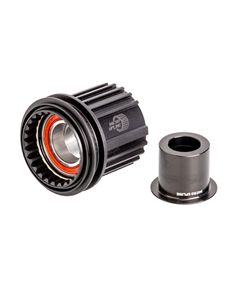 NUCLEO DTSWISS SHIMANO 12SP STEEL (SS12) RATCHET STEEL
