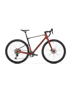 MONDRAKER ARID CARBON.jpg