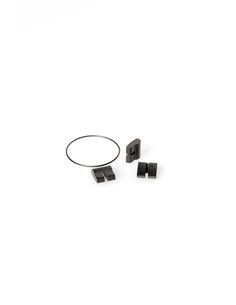TRINQUETES Y MUELLE DTSWISS SERVICE KIT 3 PAWL SYSTEM