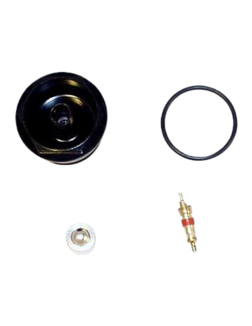 CANNONDALE SCHRADER PLUG KIT KT028/ FOR LEFTY XLR/PBR AND NE