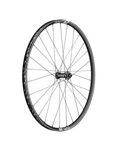 RUEDA DEL DT SWISS XR 1700 29 25MM CL 15/110MM